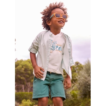 Bermuda alga - Imagen 1