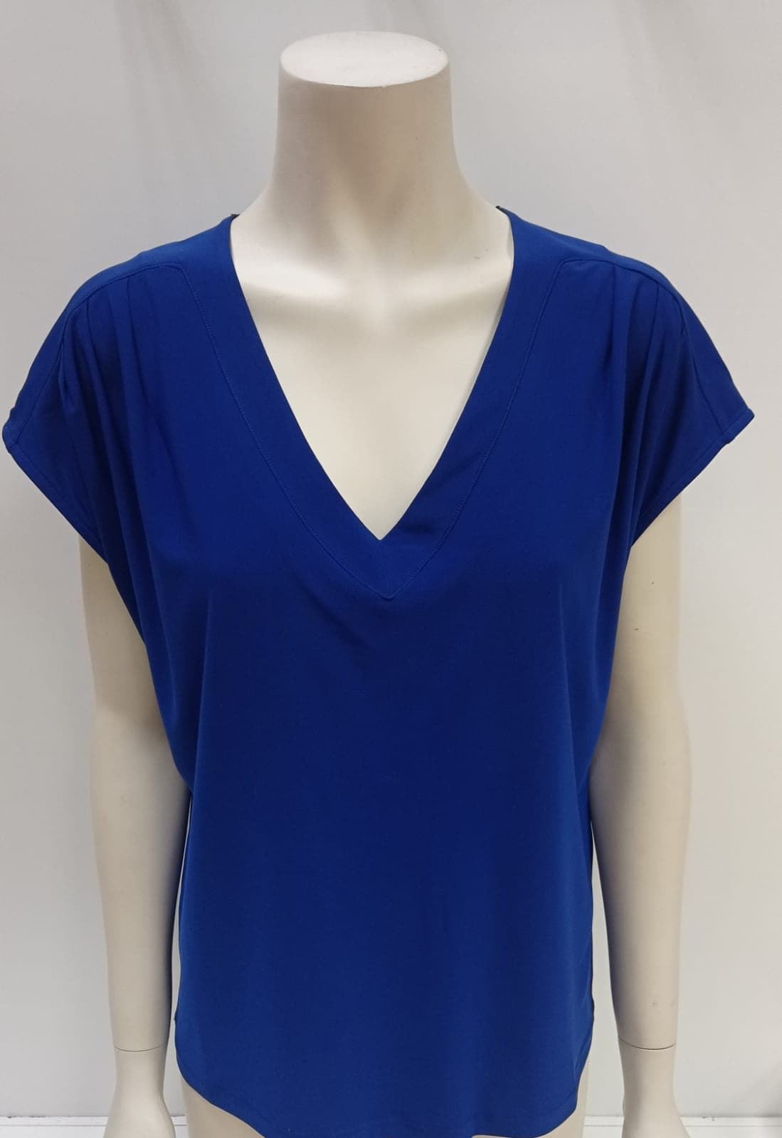 Camiseta azulón - Imagen 1