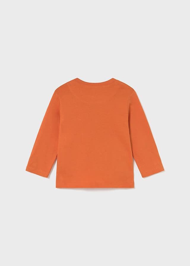 Camiseta lenticular calabaza - Imagen 2