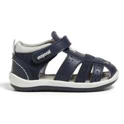 Cangrejera piel marino - Imagen 2