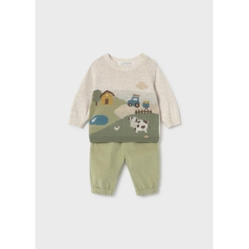 Conjunto cactus - Imagen 1