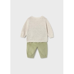 Conjunto cactus - Imagen 2