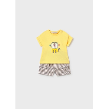 Conjunto mostaza - Imagen 2