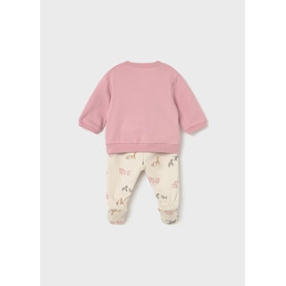 Conjunto orquídea - Imagen 2