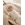 Conjunto polaina natural - Imagen 1