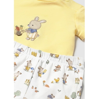 Conjunto punto sunny - Imagen 1