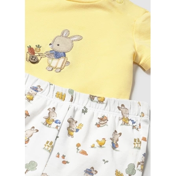 Conjunto punto sunny - Imagen 1