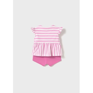 Conjunto punto tulipán - Imagen 2