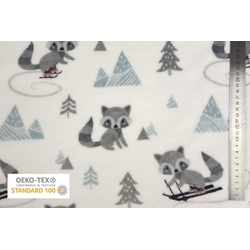 Coralina Mapache Pumpkin Diversión en la Nieve - Imagen 1