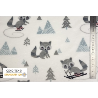 Coralina Mapache Pumpkin Diversión en la Nieve - Imagen 1