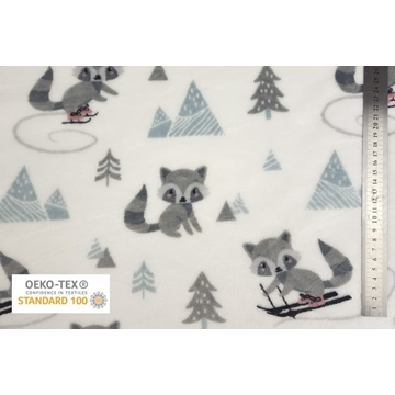 Coralina Mapache Pumpkin Diversión en la Nieve - Imagen 1