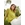 Jersey tricot verde - Imagen 1