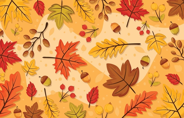 NUEVA COLECCION OTOÑO