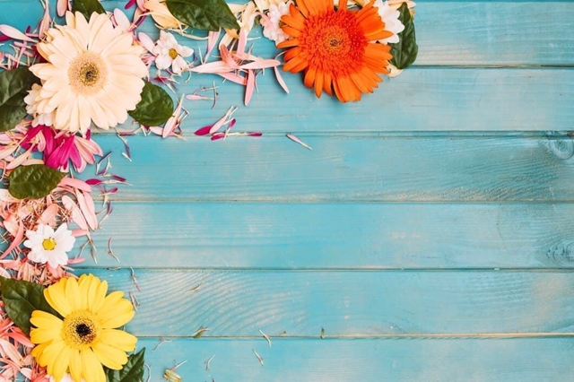 PRIMAVERA-VERANO
