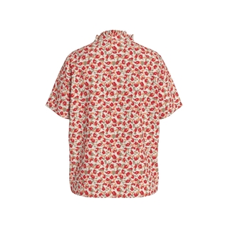 Top shell coral vipova - Imagen 2